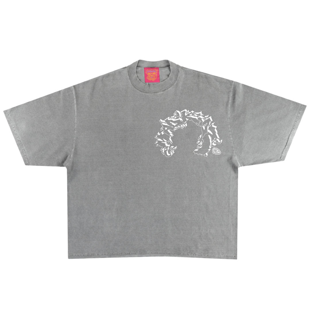 Vicious Oversized Fit T-Shirt (Grey Garment Dye)