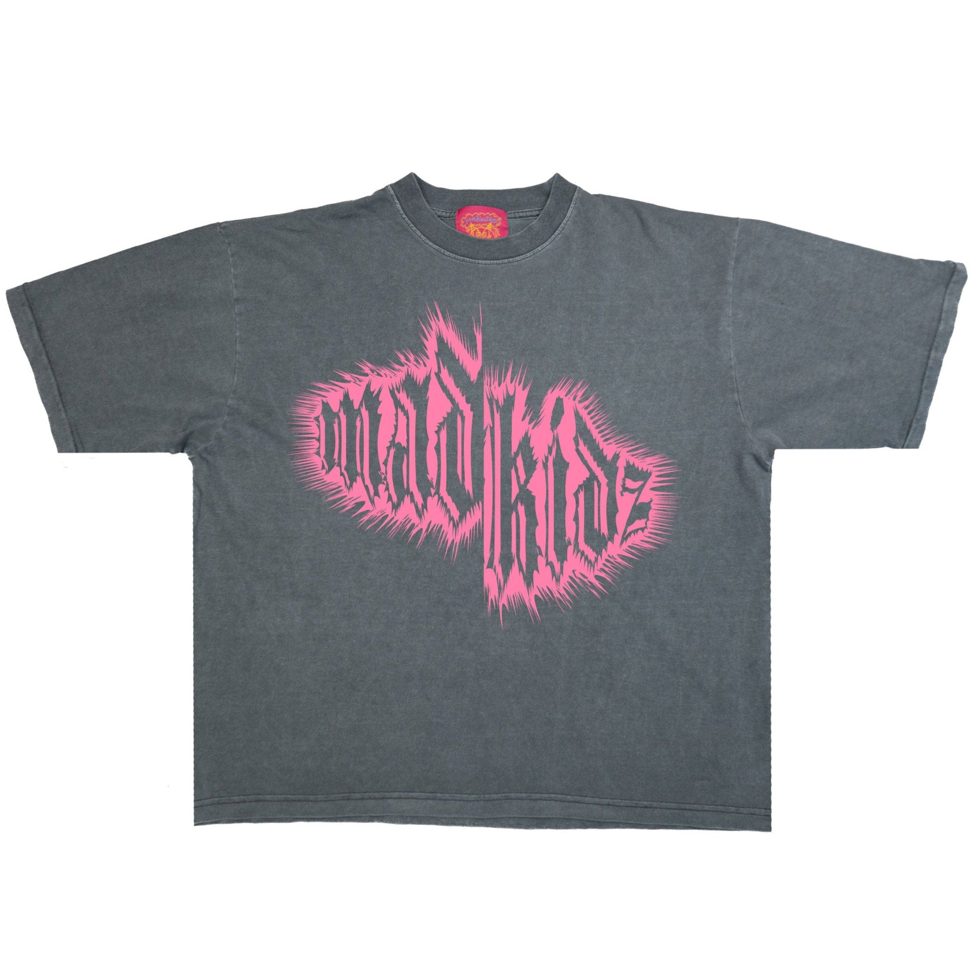 Holy Cropped T-Shirt (Vintage Grey)