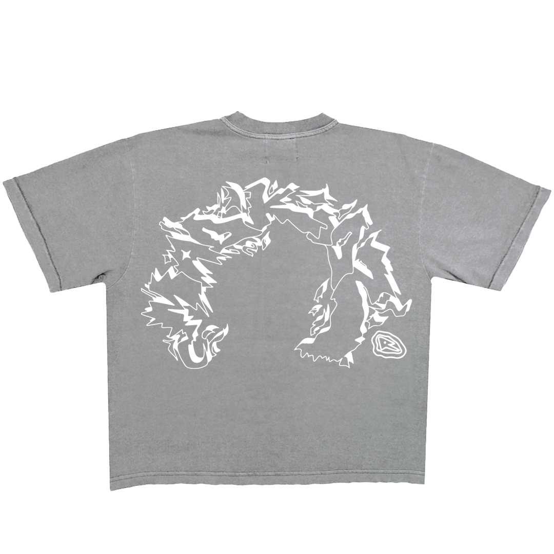 Vicious Oversized Fit T-Shirt (Grey Garment Dye)